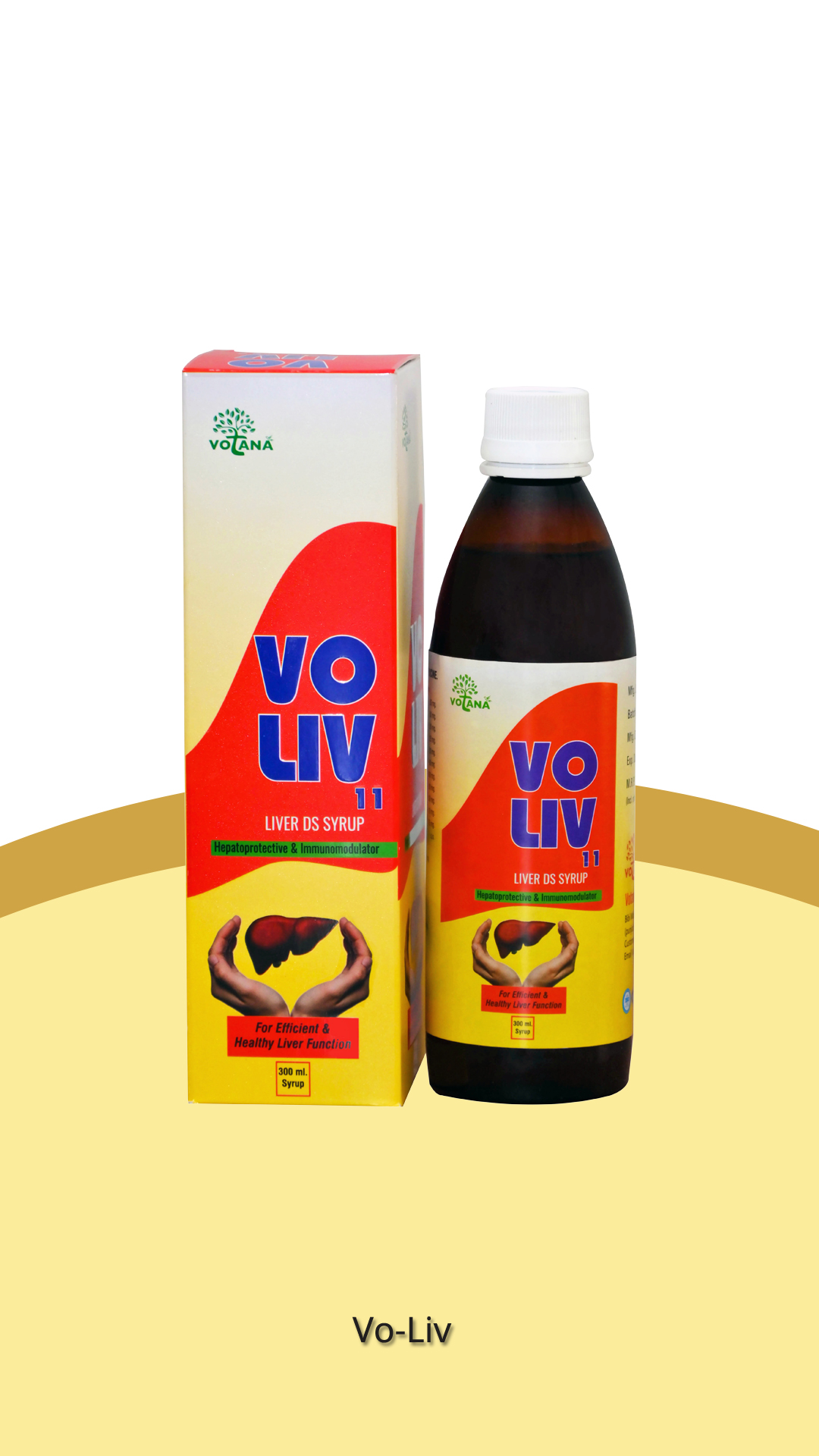 Vo-Liv Ayurveda Medicine for Liver Care